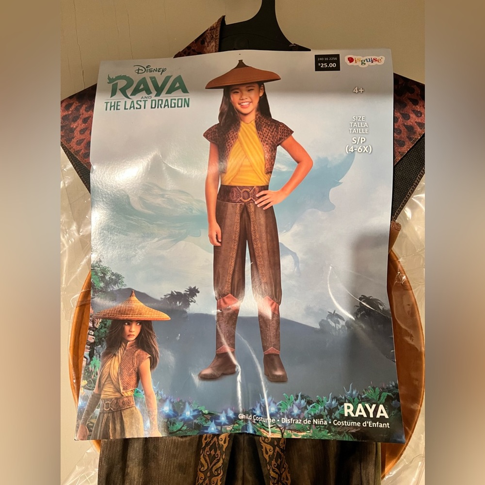 Last Dragon “Raya” costume